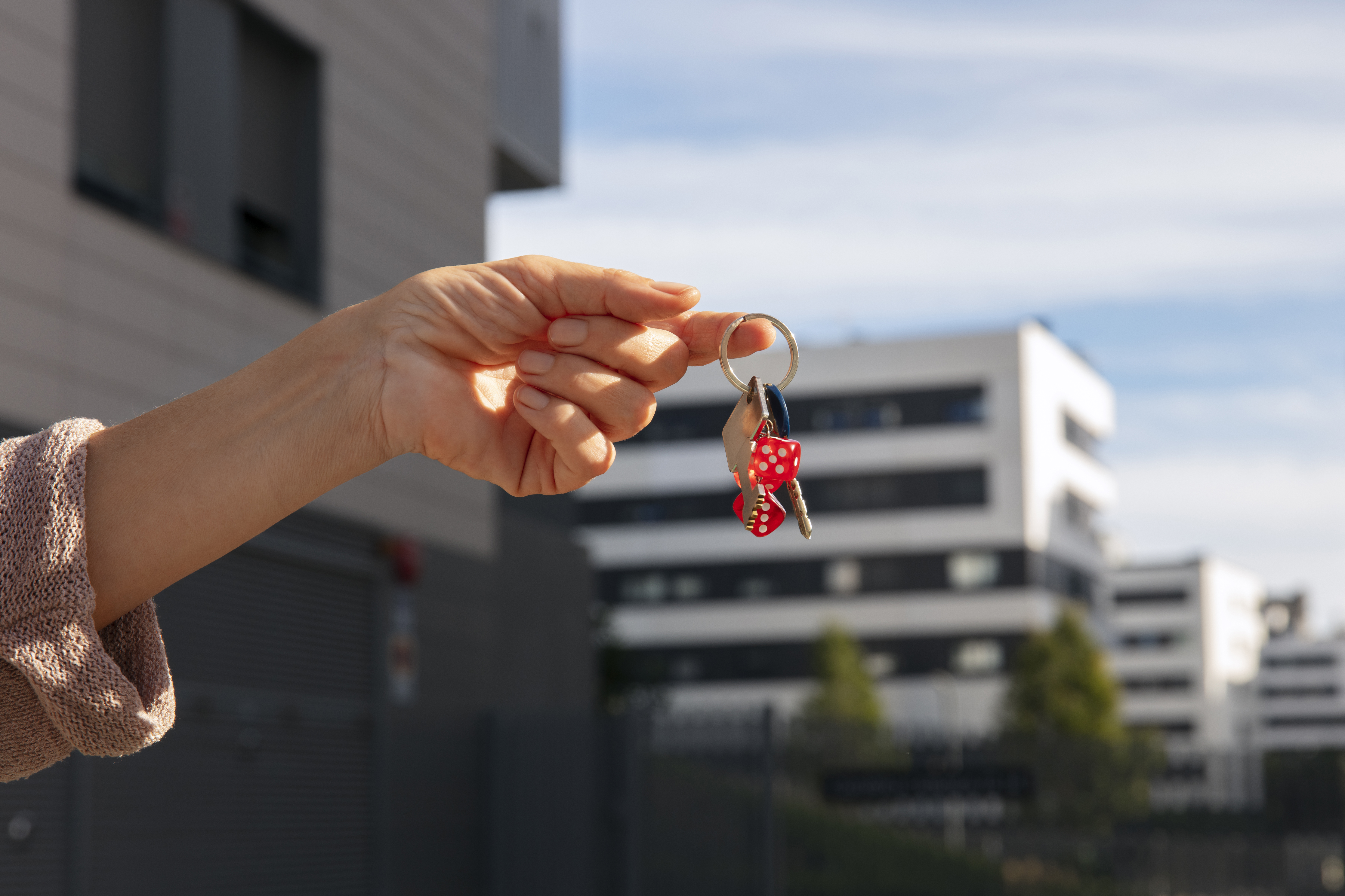 HICS Capital - Real Estate development and investment company